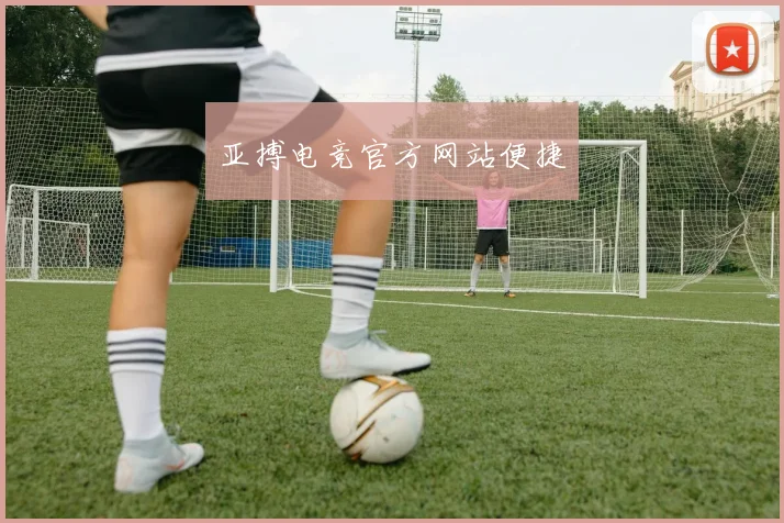 亚搏电竞官方网站便捷
