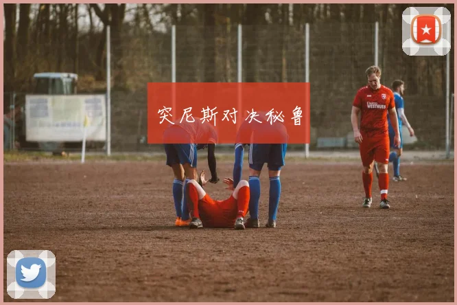 突尼斯对决秘鲁