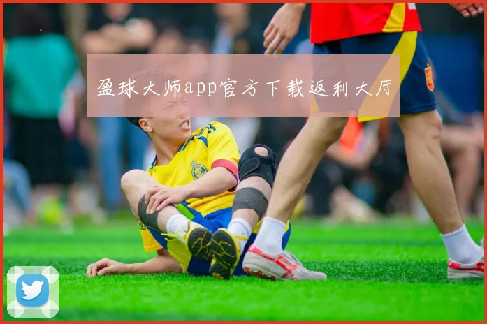 盈球大师app官方下载返利大厅