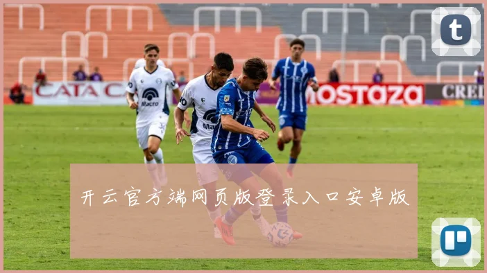 开云官方端网页版登录入口安卓版