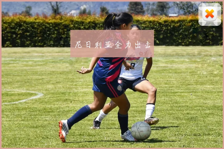 尼日利亚全力出击