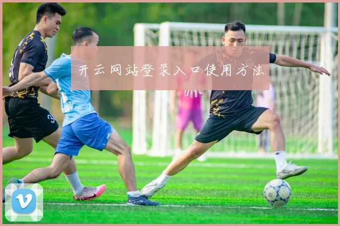 开云网站登录入口使用方法