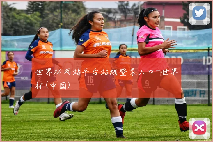 世界杯网站平台站线登录入口-世界杯(中国)