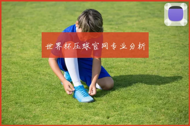 世界杯压球官网专业分析