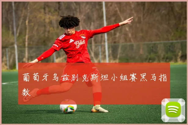 葡萄牙乌兹别克斯坦小组赛黑马指数