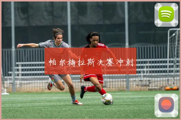 帕尔梅拉斯决赛冲刺