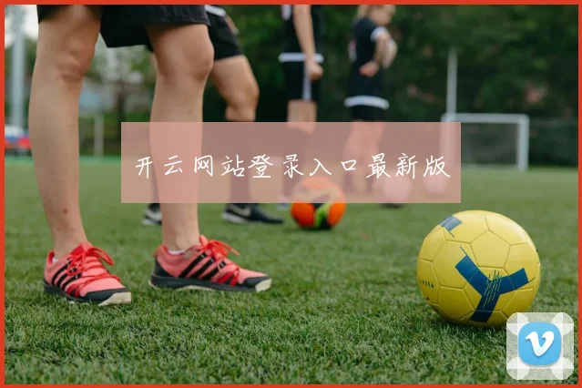 开云网站登录入口最新版