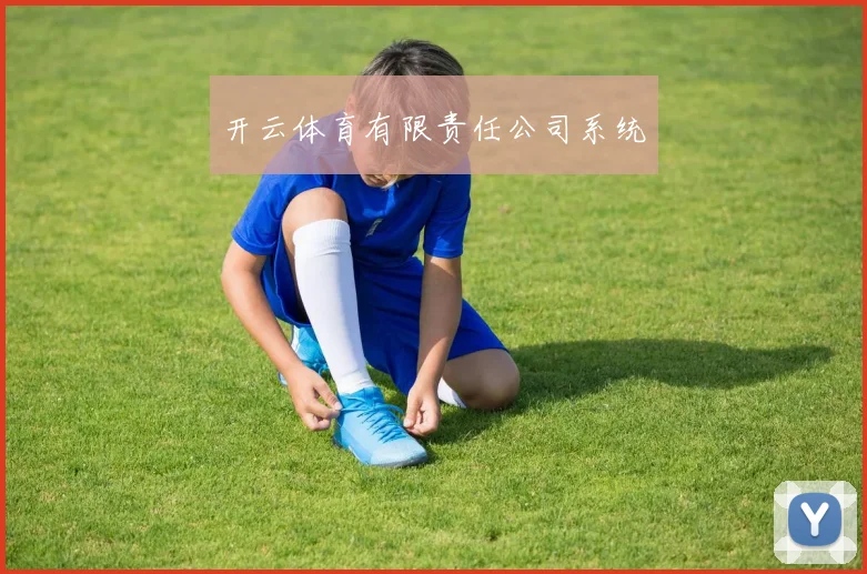 开云体育有限责任公司系统