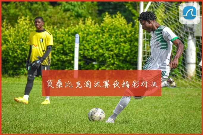 莫桑比克淘汰赛夜精彩对决