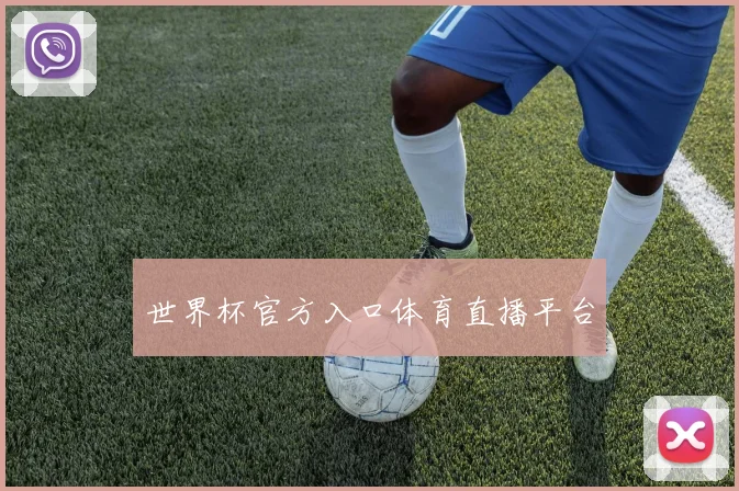世界杯官方入口体育直播平台