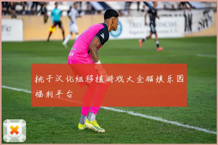 桃子汉化组移植游戏大全猫娘乐园福利平台