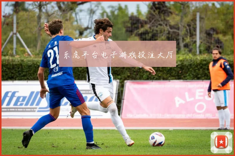 乐虎平台电子游戏投注大厅