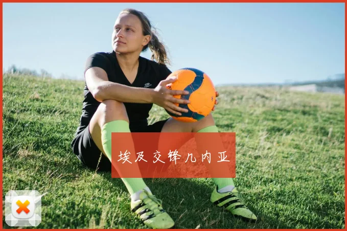 埃及交锋几内亚