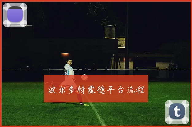 波尔多特蒙德平台流程