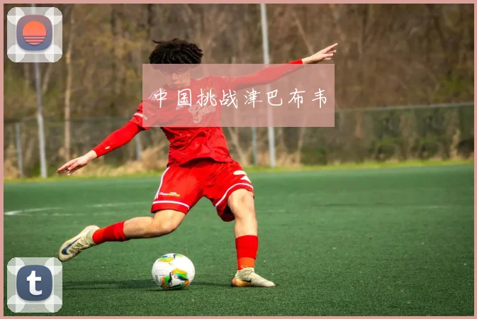 中国挑战津巴布韦