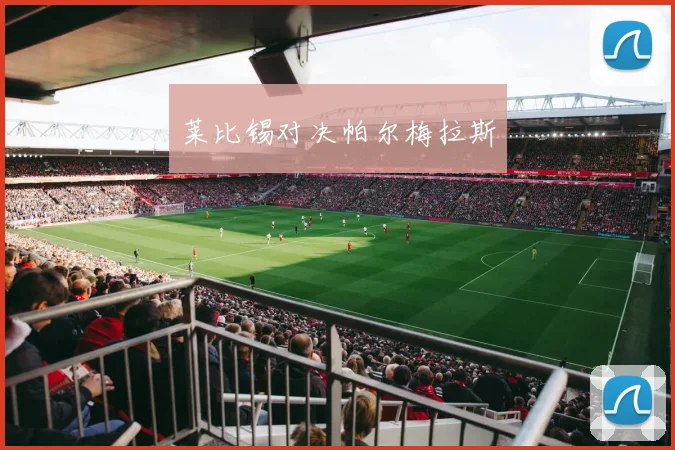 莱比锡对决帕尔梅拉斯