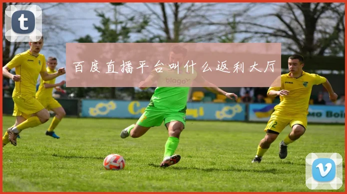 百度直播平台叫什么返利大厅