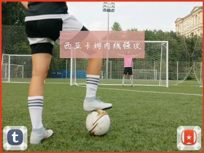 西亚卡姆内线强攻