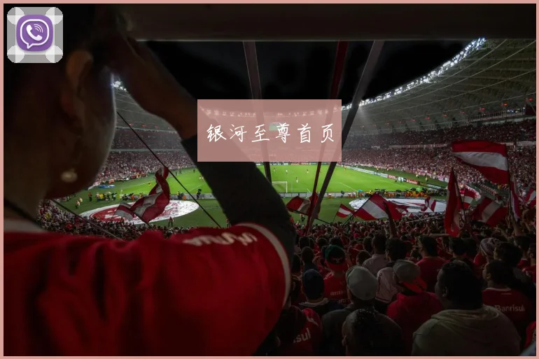 银河至尊首页