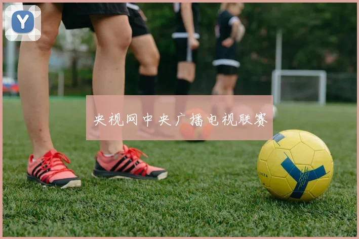 央视网中央广播电视联赛
