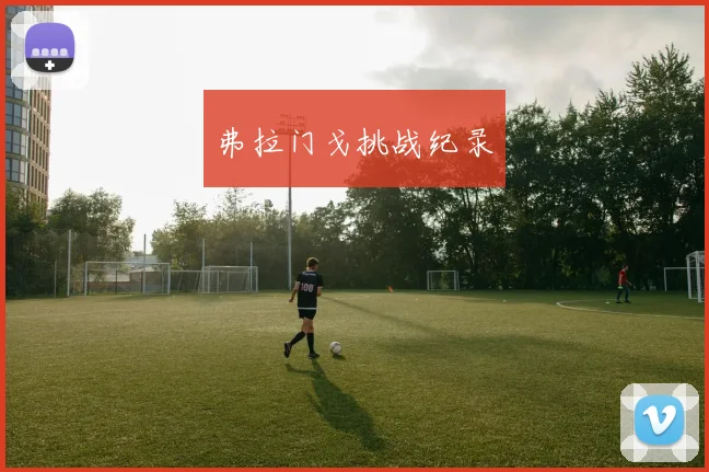 弗拉门戈挑战纪录