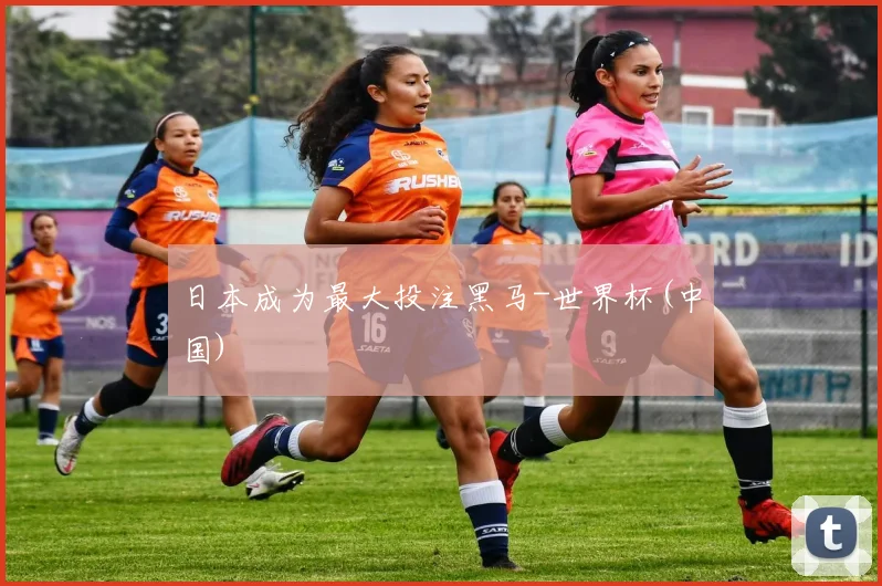 日本成为最大投注黑马-世界杯(中国)