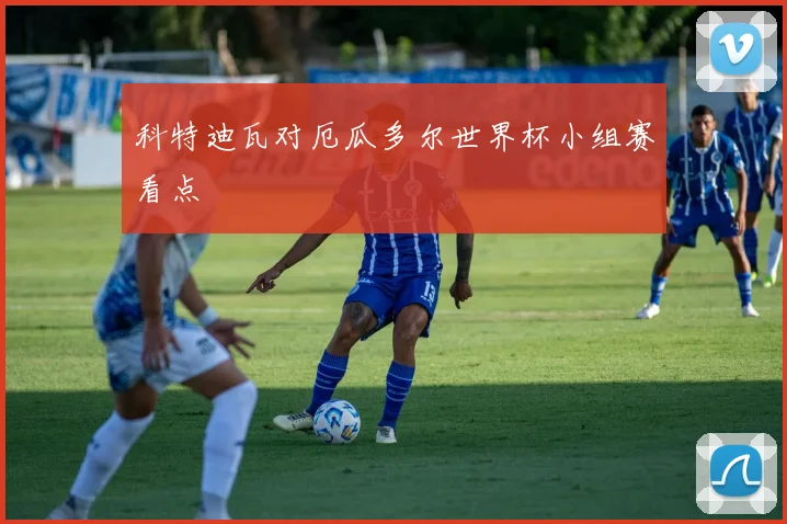 科特迪瓦对厄瓜多尔世界杯小组赛看点