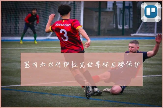 塞内加尔对伊拉克世界杯后腰保护