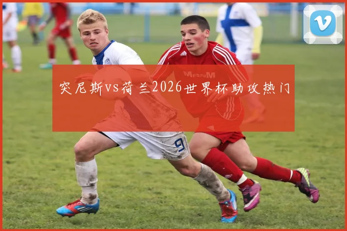突尼斯vs荷兰2026世界杯助攻热门