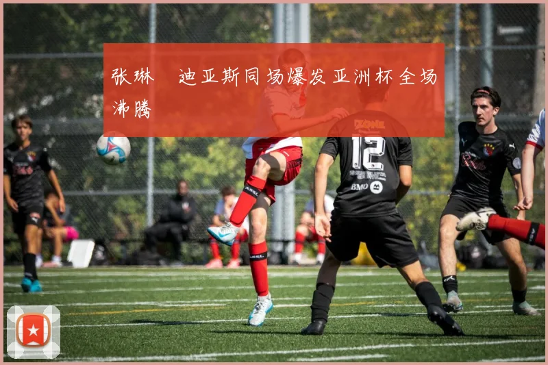 张琳芃迪亚斯同场爆发亚洲杯全场沸腾