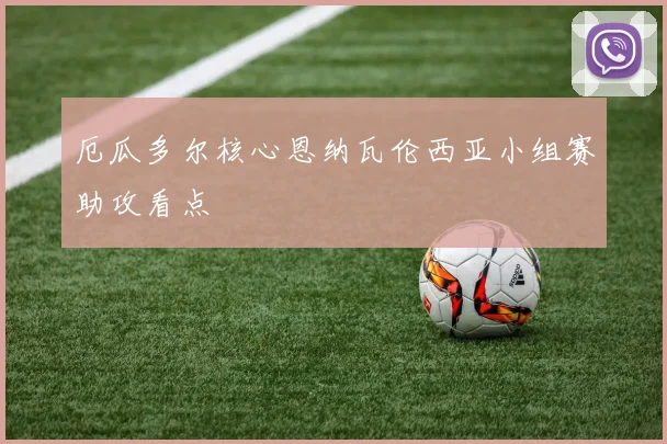 厄瓜多尔核心恩纳瓦伦西亚小组赛助攻看点