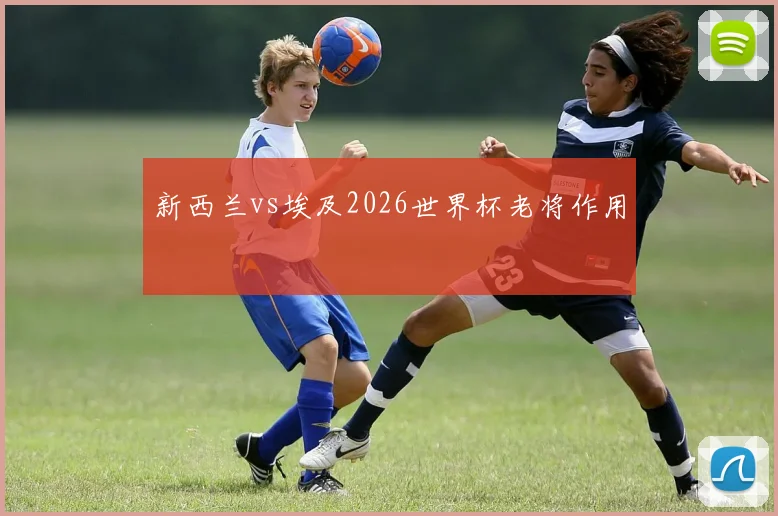 新西兰vs埃及2026世界杯老将作用