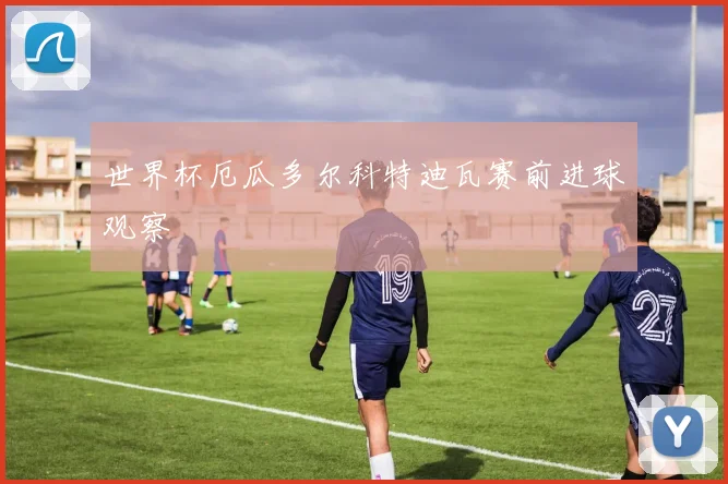 世界杯厄瓜多尔科特迪瓦赛前进球观察