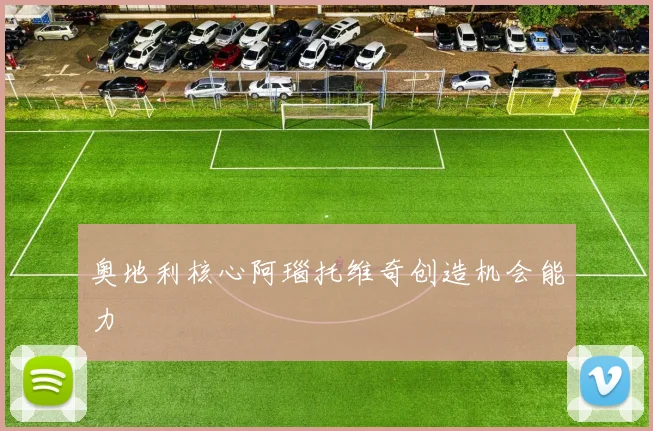 奥地利核心阿瑙托维奇创造机会能力