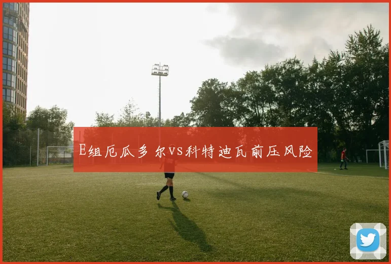 E组厄瓜多尔vs科特迪瓦前压风险
