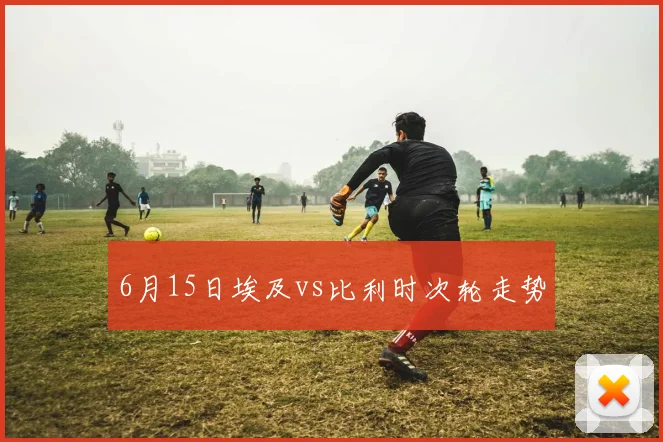 6月15日埃及vs比利时次轮走势