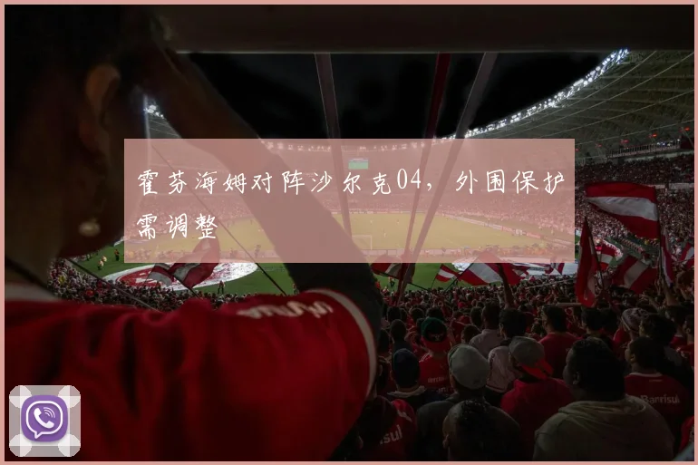 霍芬海姆对阵沙尔克04，外围保护需调整
